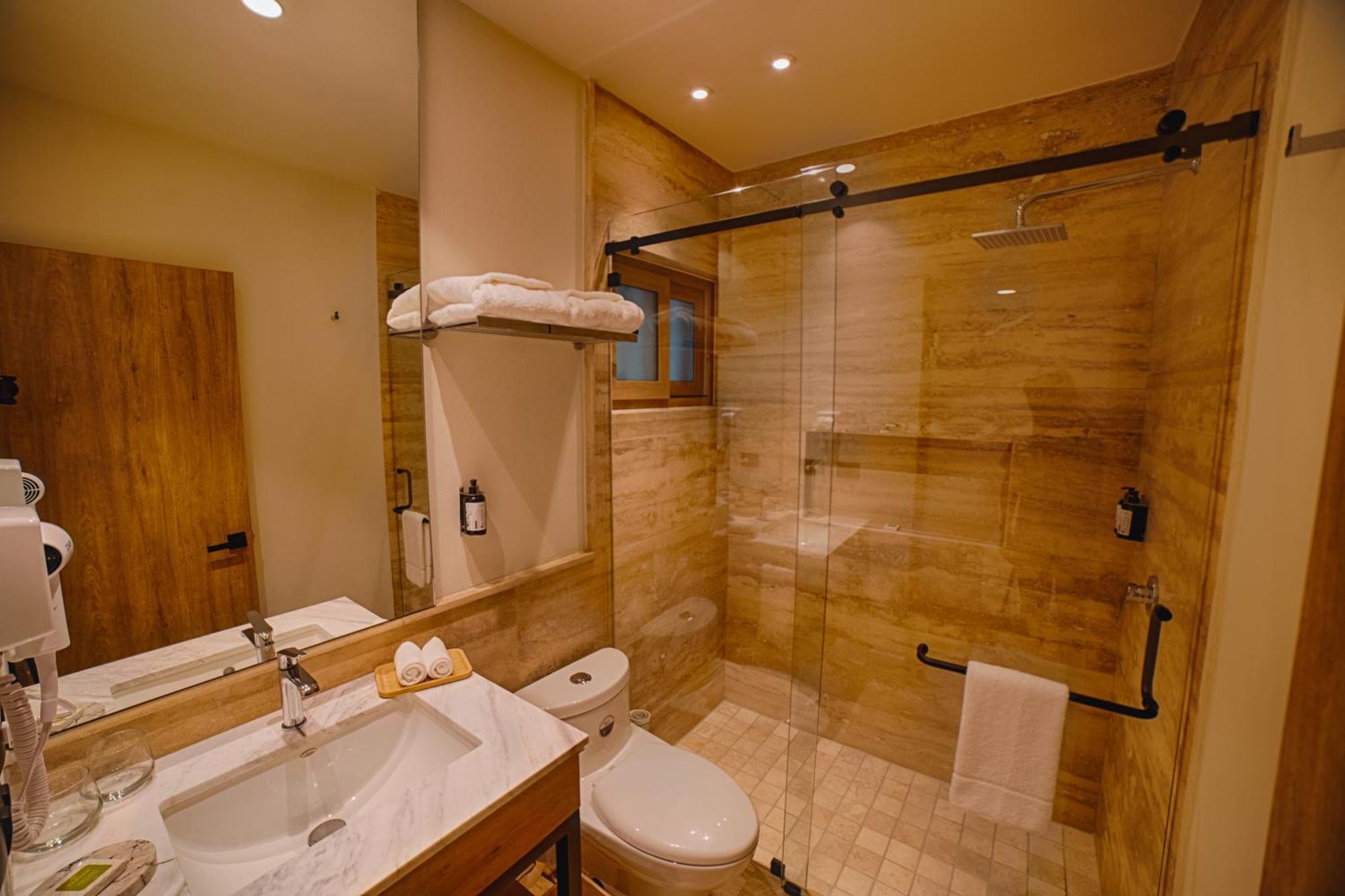 Hotel Casa Aranzazu San Luis Potosí Dış mekan fotoğraf