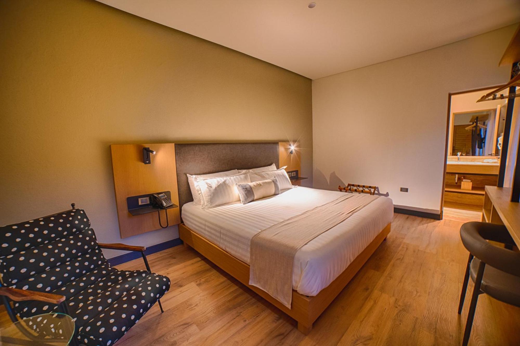 Hotel Casa Aranzazu San Luis Potosí Dış mekan fotoğraf